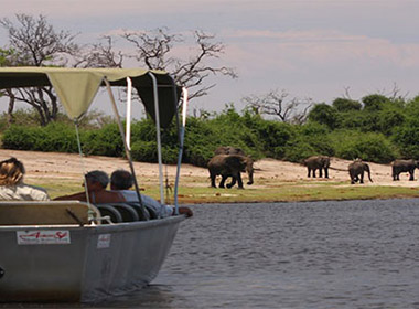 Elephant Valley Lodge