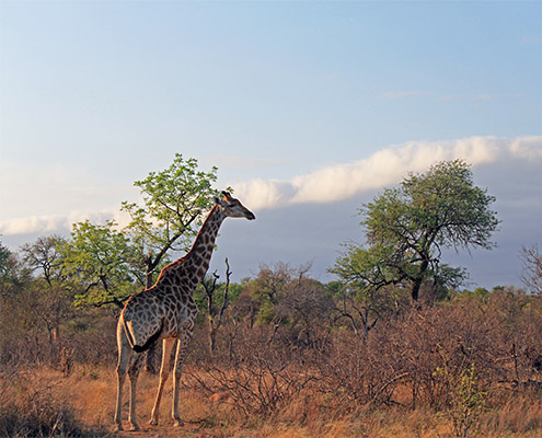 Sustainalbe and responsible travel