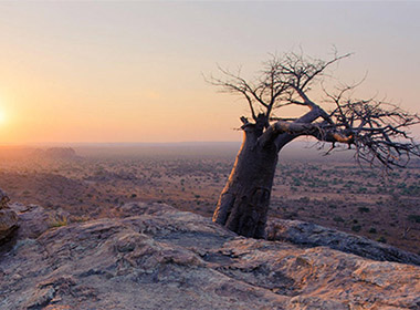 Mashatu Lodge & tented Camp Botswana
