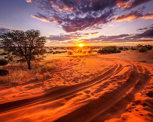 Namibia’s Kalahari Desert—home to red dunes, unique wildlife, and ancient cultures in one of Africa’s most serene and striking landscapes.