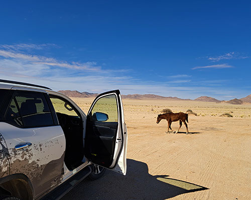 Experience Klein-Aus, where desert landscapes meet historic charm and Namibia’s wild horses roam free under endless skies.