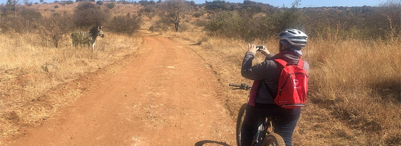 An exhilarating experience in nature for first-time e-bikers. The guided tour is aimed at people who know how to ride a bicycle but have possibly never ridden an e-Bike