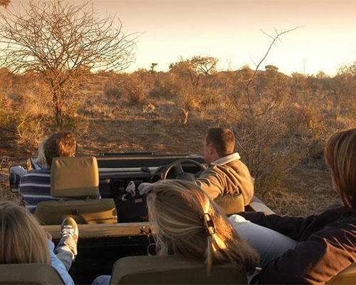 Family Safari in South Africa