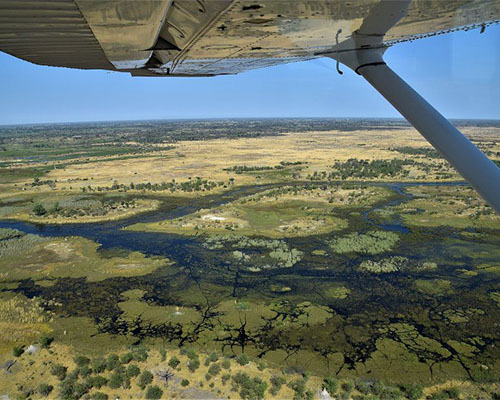 Okavango Delta Botswana