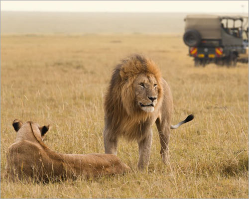 Travelling in South Africa