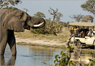 Chobe Botswana river boat game viewing