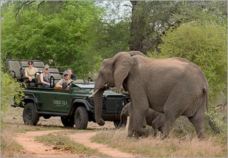 In search of the Big 5 at Tanda Tula Field Camp