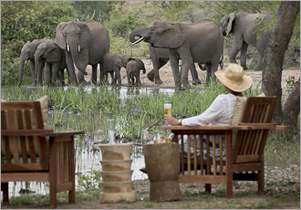 Game viewing at Tanda Tula Field Camp