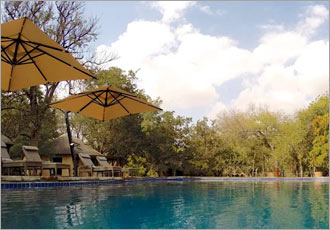 Tuli Safari Lodge