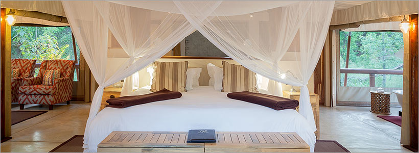 Tuli Safari Lodge safari accommodation