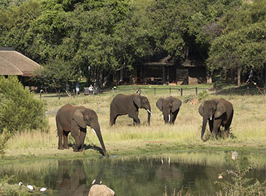 Bakubung Bush Lodge waterhole.