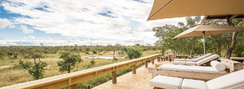 Greater Kruger National Park safari