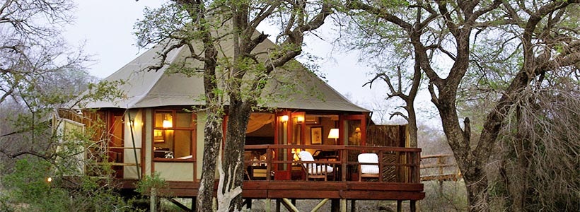 Luxury suite at Hamiltons Tented Camp
