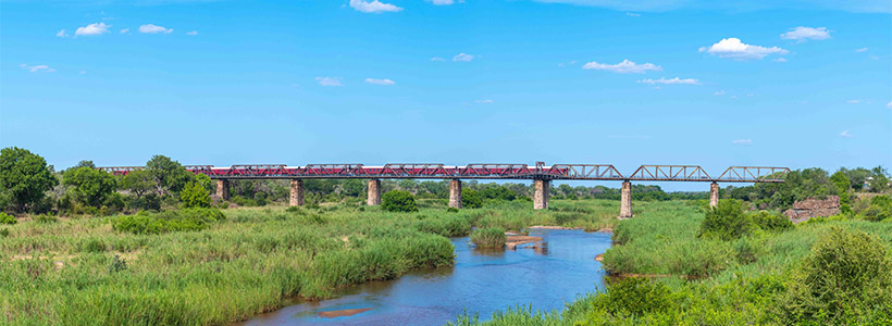 Kruger Shalati with Go Safari
