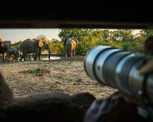 Mashatu in Botswana’s Northern Tuli Game Reserve has developed the Lala Limpopo sleepout hide