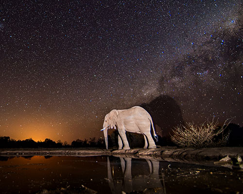 Mashatu Lala Limpopo sleepout hide