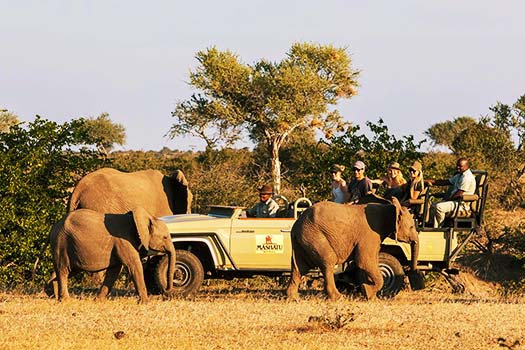 Mashatu Tent Camp Go Safari