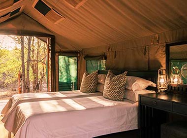 You may also be interested in ...