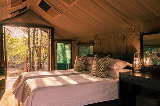 <strong>Mashatu Tented camp with Go Safari</strong>