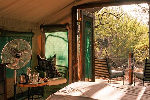 Mashatu Tent Camp with Go Safari