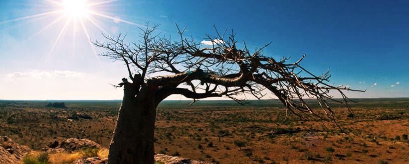 Mashatu Tented camp with Go Safari