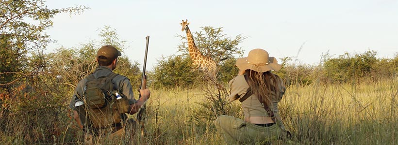 Mongena Game Lodge Dinoken wilderness trail