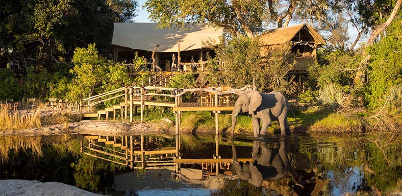 Okavango Delta Fly-In Safari