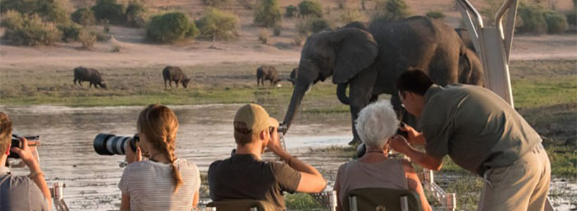 Photographic safari in Chobe Botswana