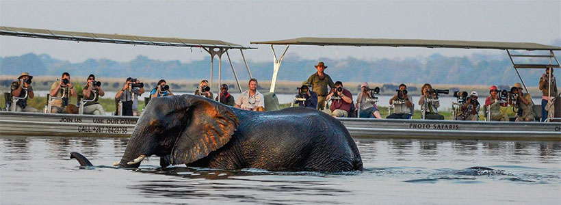 Chobe River Photo Safari