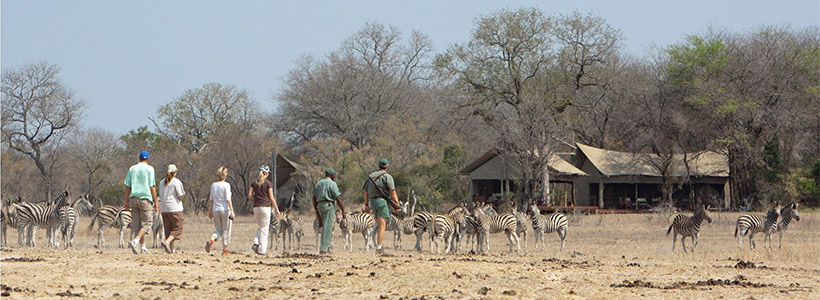 Big 5 walking safari in the Kruger National Park