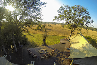 Plains Camp @ Rhino Walking Safaris is located in the Kruger National Park