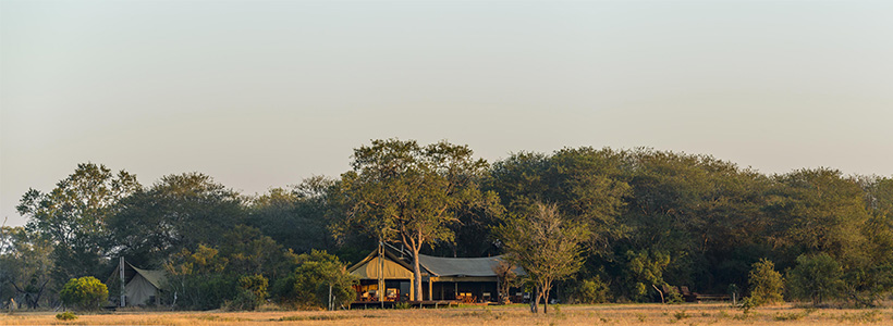 Plains Camp @ Rhino Walking Safaris is located in the Kruger National Park