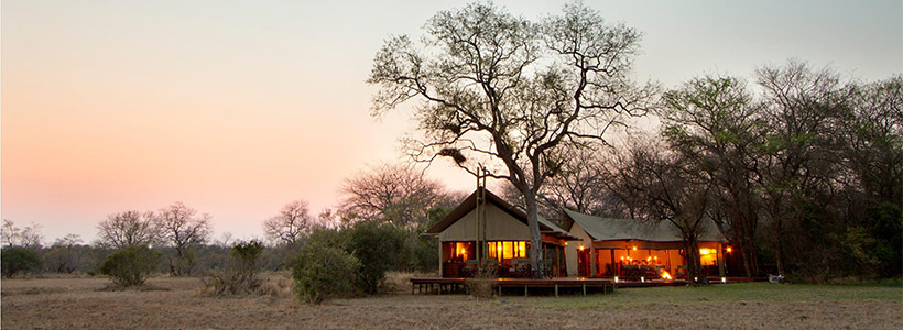 Plains Camp @ Rhino Walking Safaris is located in the Kruger National Park