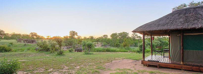 Shindzela Tented Safari Camp