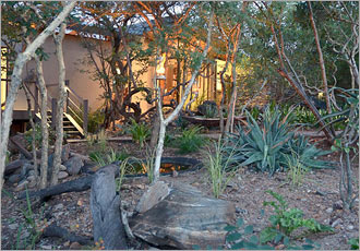 Game viewing at Greenfire Lodge