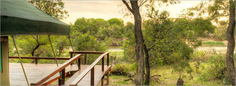 Simbavati River Lodge - splendid wildlife viewing in wild Africa