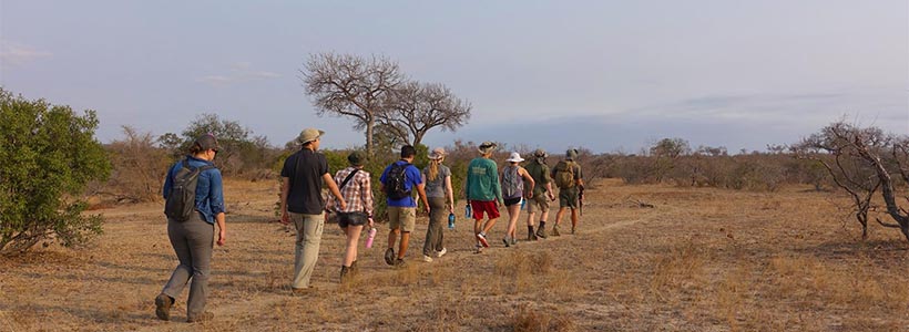 Bateleur Safari Camp Timbavati