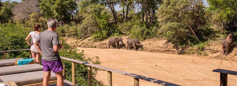 Bateleur Safari Camp