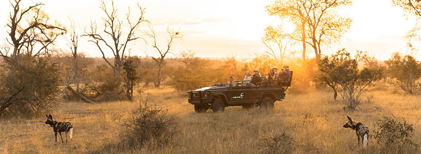 MalaMala Game Reserve