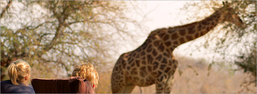 Game viewing in Mohlabetsi Safari Lodge