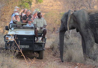 Mohlabetsi Safari Lodge - elephant experience