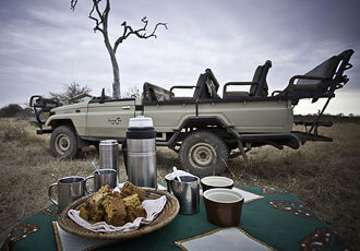 Sausage Tree Safari game drives - early morning coffee at sunset