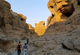 Scheduled safari Namibia