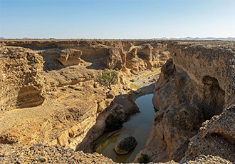 Scheduled safari Namibiai