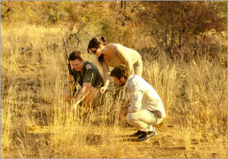 Tracking game at Morokolo Game Lodge